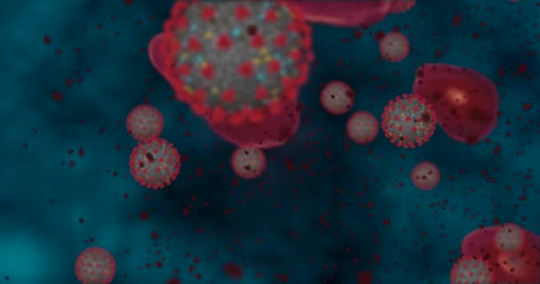 Висока концентрація коронавірусної хвороби Ковід-19. Анімаційна група вірусів і еритроцитів крупним планом. 3D візуалізація 4k
 - Кадри, відео