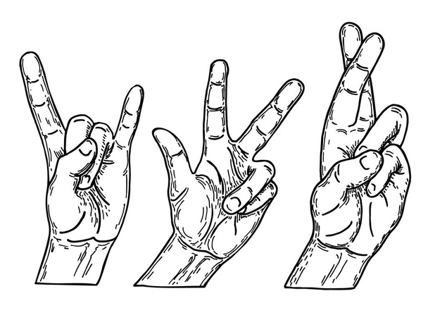 Handgebaren in verschillende posities schetsen. Verschillende gebaren van menselijke handen geïsoleerd op een witte achtergrond. Handacties. - Vector, afbeelding