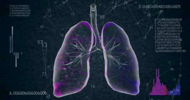 Rotierendes 360 low polygonal Lungen 3D-Modell auf schwarzem Hintergrund mit animierten Zahlen. 4k - Filmmaterial, Video