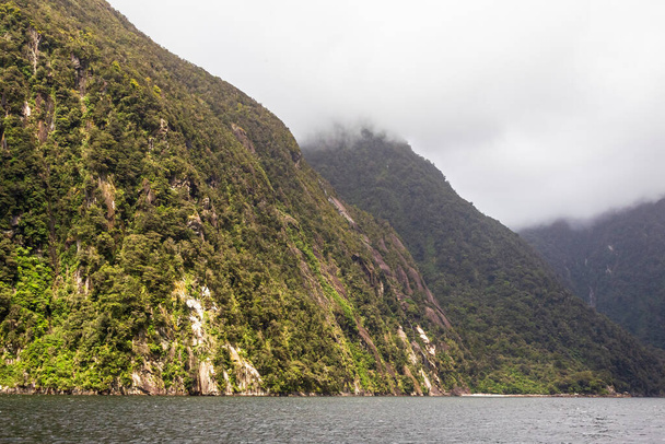 Steile hellingen begroeid met groen langs de oevers van de fjord. Nationaal park Fiordland. South Island, Nieuw-Zeeland - Foto, afbeelding