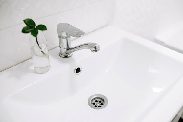White and clean bathroom. White washbasin with a green plant in a vase. Conceptual photo - Photo, Image