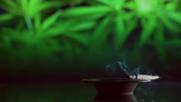 Close up. Hash tray with cigarette and a smoking activity. hand rolled cigarette is smoked. A lit marijuana cigar joint is burning ashtray counter. smoke on a background of green cannabis leaves.  - Filmagem, Vídeo