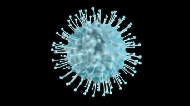 Coronavirus sejtek. Animációs vírus alfa csatornán, ami légúti fertőzéseket okoz. 3D-s renderelő hurok 4k - Felvétel, videó