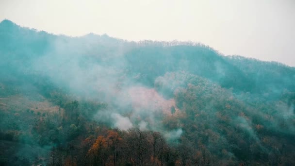 Smog di incendi boschivi. Deforestazione e crisi climatica. Nebbia tossica causata dagli incendi delle foreste pluviali. Video aereo 4k. - Filmati, video