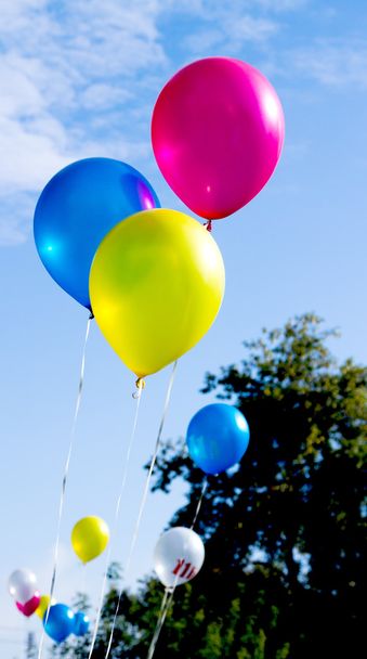 Multicolored balloons - Фото, зображення