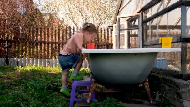 Kíváncsi óvodás lány szórakozás a kertben közelében üvegház vidéken - Felvétel, videó