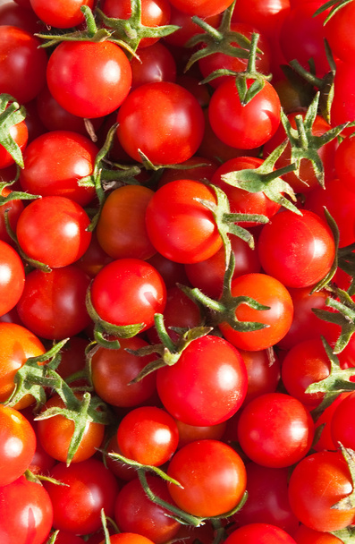 "kiraz" kırmızı domates. arka plan - Fotoğraf, Görsel