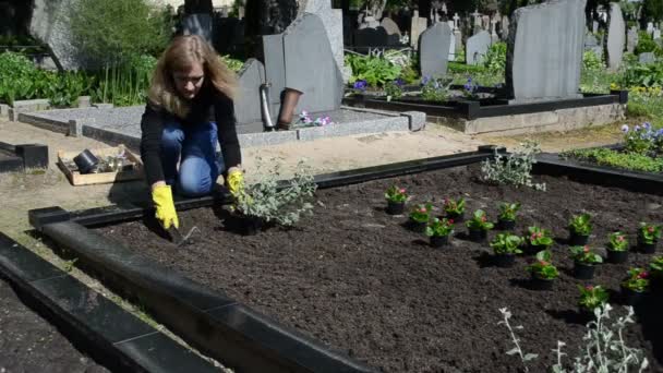 Frau pflanzt Friedhof - Filmmaterial, Video