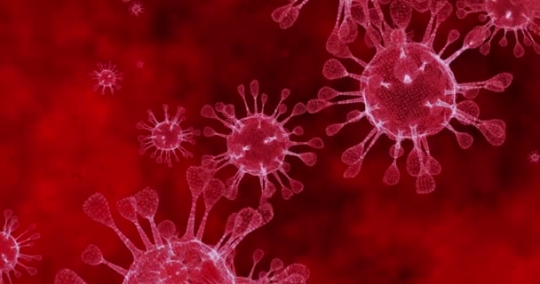Coronavirus-Zellen COVID-19 Infektionskrankheit. Schnelle Übertragung von Krankheiten. Hohe Konzentration von Coronavirus. 3D-Rendering-Schleife 4k - Filmmaterial, Video