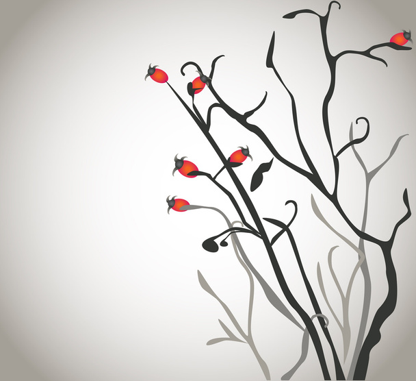 isolierter borstiger Strauch mit roten Beeren auf blankem Hintergrund - Vektor, Bild