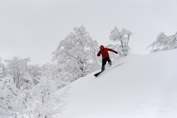 freeride, kayakçı - Fotoğraf, Görsel