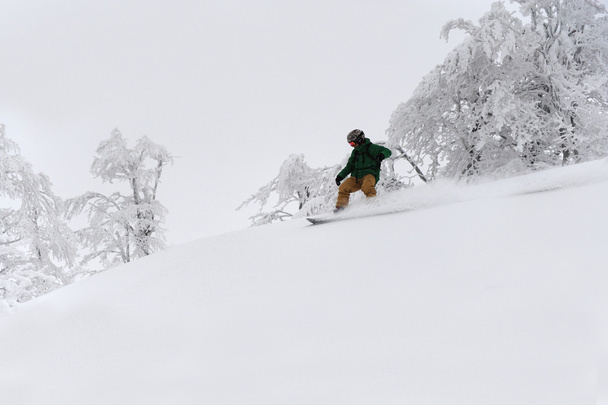 Skifahrer im Freeride - Foto, Bild
