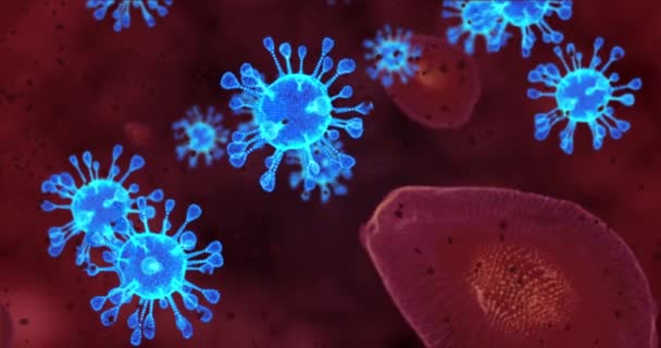 コロナウイルス細胞。呼吸器感染症を引き起こすウイルスのアニメーショングループ。3Dレンダリングループ4k - 映像、動画