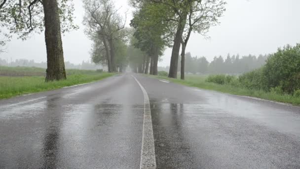 woda deszczowa na asfalcie - Materiał filmowy, wideo