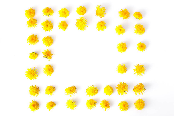 Квіти обрамляють візерунок, кульбаби. Літня концепція, вид зверху, плоский ліжко
. - Фото, зображення