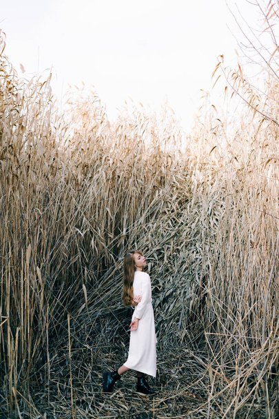 portrait of a young attractive girl in a light white dress and black shoes standing among the reeds - Photo, Image