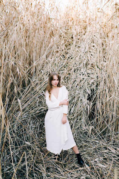 portrait of a young attractive girl in a light white dress and black shoes standing among the reeds - Fotó, kép