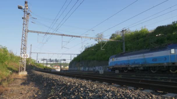 a vonat áthalad a vidéken - Felvétel, videó