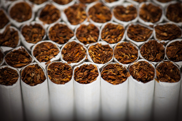 タバコの生産ライン - 写真・画像
