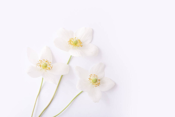 Primavera flores blancas sobre fondo azul con espacio de copia
. - Foto, Imagen