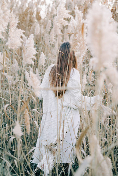 portrait of a young beautiful girl in a white dress, a warm knitted cardigan and black shoes among dry fluffy reeds - Фото, зображення