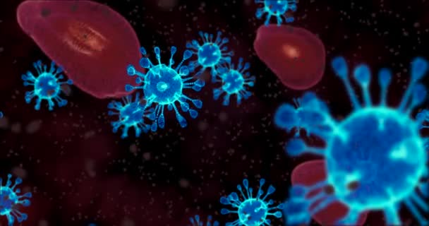 Coronavirus sejtek. Légúti fertőzést okozó vírusok animációs csoportja. 3D-s renderelő hurok 4k - Felvétel, videó