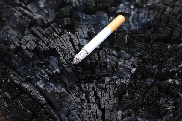 Palący się papieros leży na czarnej powierzchni spalonego pniaka. - Zdjęcie, obraz