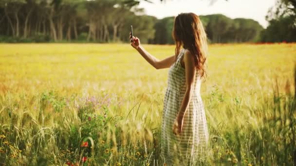 Girl in white striped dress photographs the wheat field with red poppies on the smartphone. Long hair woman walks around the beautiful countryside. Golden light in idyllic landscape. Spring. Summer. - Video
