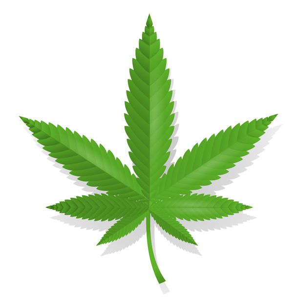 Icono de hoja de cannabis
 - Vector, Imagen