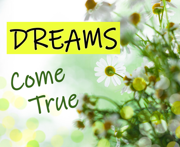 Dreams Come True text sign. Blooming camomiles bouquet green leaves. Blurred bokeh lights flowers background selective focus. Love greeting card. Motivation inspirational quotes for successful people - Photo, image