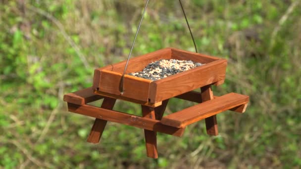 Wiszący drewniany piknik karmnik dla ptaków wypełniony nasionami słonecznika - Materiał filmowy, wideo