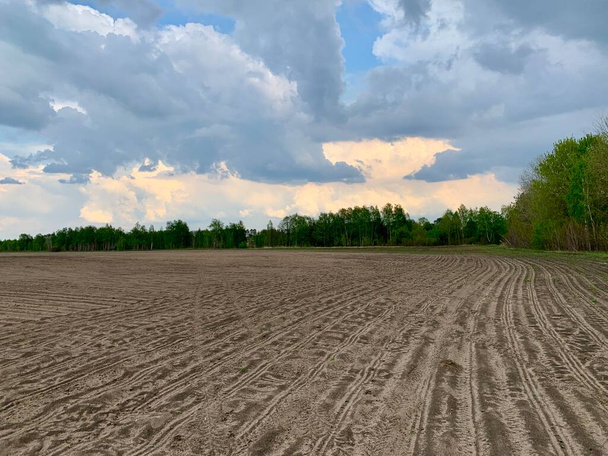 Loosened earth on the field, against the blue sky. Spring sowing of winter wheat. Traces of agricultural machinery on black soil. - Photo, Image