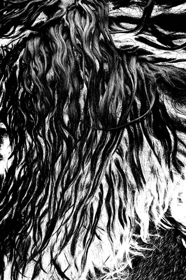 Schapenwol in verwerking, zwart-wit abstracte achtergrond - Foto, afbeelding