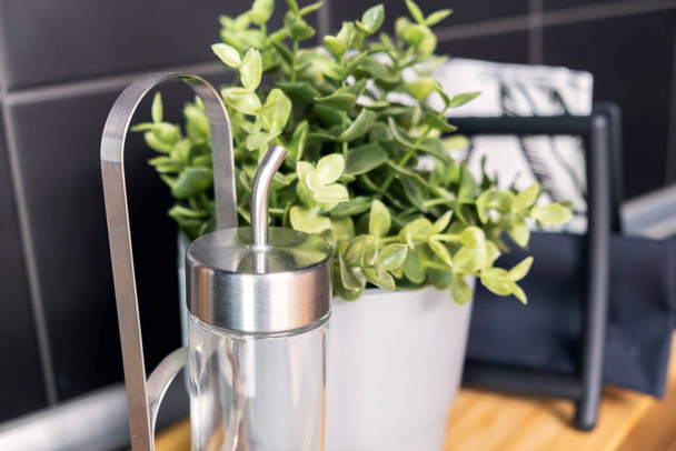 Pot with green plant on kitchen countertop. Close up - Fotografie, Obrázek