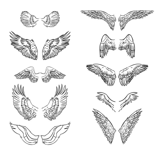 手描きの翼のセット。ステッカーの翼の入れ墨。鳥の入れ墨の人形やスケッチスタイルの翼 - ベクター画像