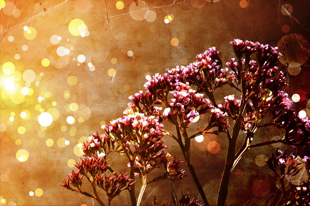 ragyogó őszi virág háttér - Fotó, kép
