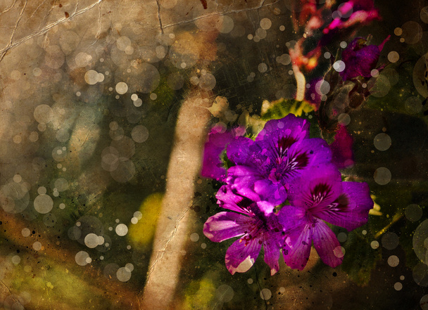 virág backgrond, tavasszal virágzik - Fotó, kép