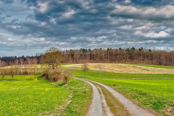 A field path in the middle of a landscape with meadows and fields, in the background a bare forest, the sky is crossed by clouds - Photo, Image