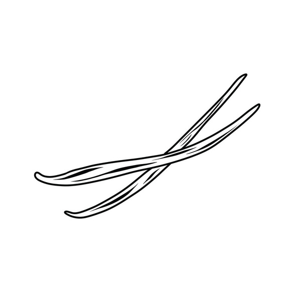 Vanille-Sticks-Doodle-Symbol, Vektorzeilen-Illustration - Vektor, Bild