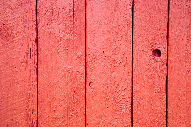 Shed door - Fotoğraf, Görsel