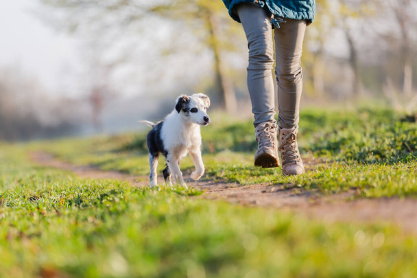 picture of a woman playing with a cute puppy outdoors - Foto, imagen