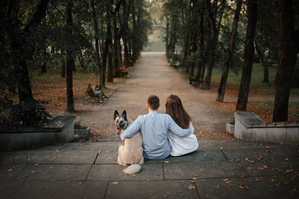 young couple and a dog sitting in the park, rear view - Foto, imagen