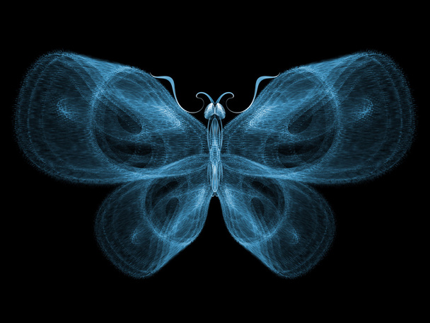 Butterfly Elegance - Фото, изображение