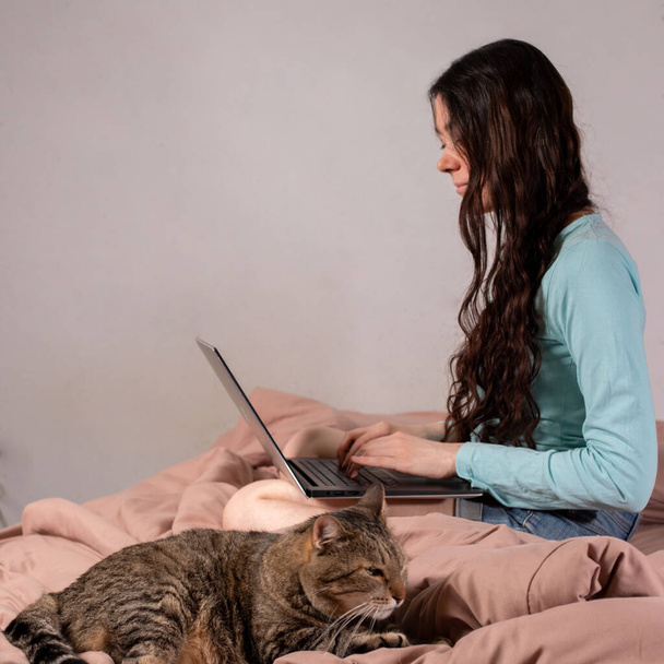 The concept of social distance and isolation. Work from home remotely over the Internet. A young woman works at home on a computer and a cat is next to her. Quarantine. Copy space. - Photo, Image