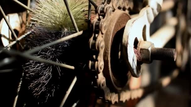 bicycle chain running in circle while paddling. the back wheel view with close up look. cycle repairing video clip - Footage, Video