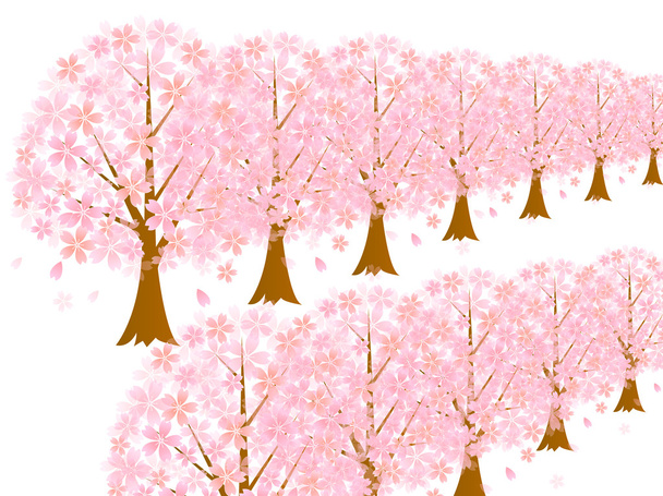 Fila de árboles de flor de cerezo fondo de cerezo
 - Vector, Imagen