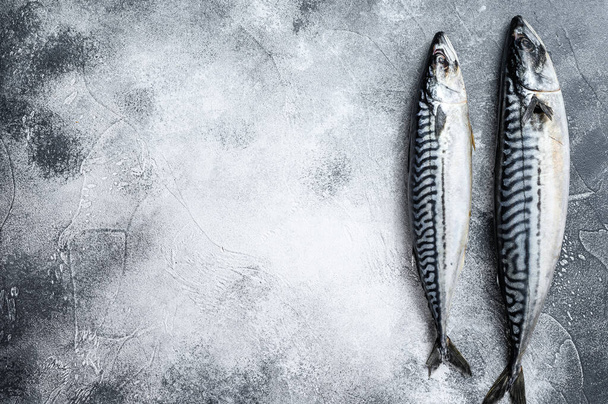 Raw mackerel fish. Gray background. Top view. Space for text. - 写真・画像