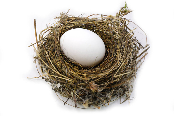 kis madárfészek tojással, fehér héjjal - Fotó, kép