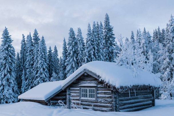 The mesmerizing view of a house and the trees covered in snow - Valokuva, kuva
