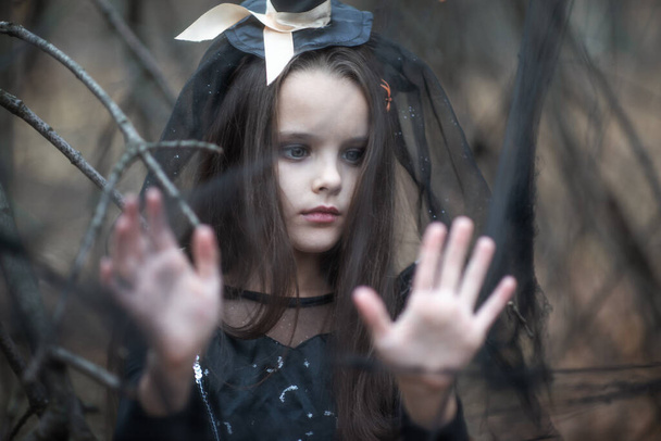 Llittle girl dressed in a witch dress and hat walks in fall forest among the web with spiders. Halloween horror. Witches in darkness - Photo, image